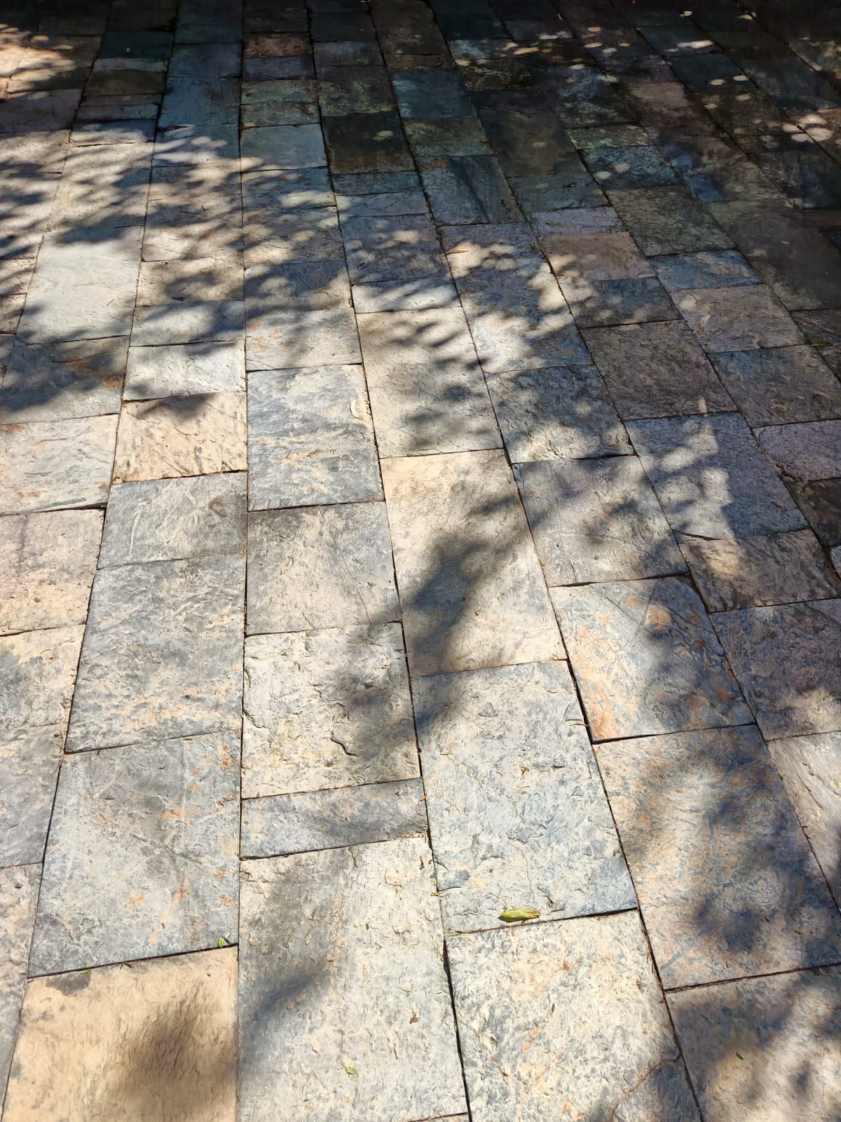 Temel Kazımı Çalışması